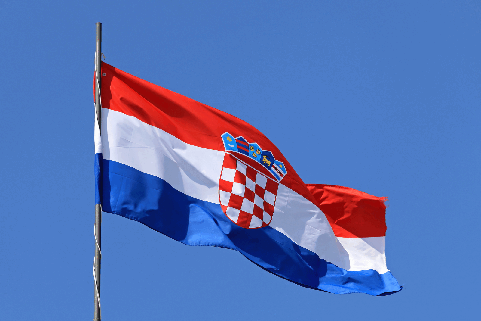 ovlašteni predstavnik Hrvatska