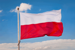 Ovlašteni predstavnik Poljska