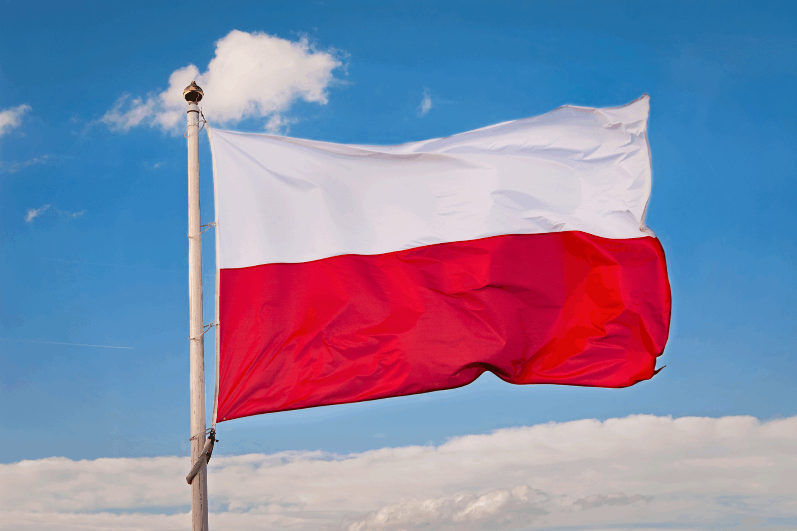 Ovlašteni predstavnik Poljska
