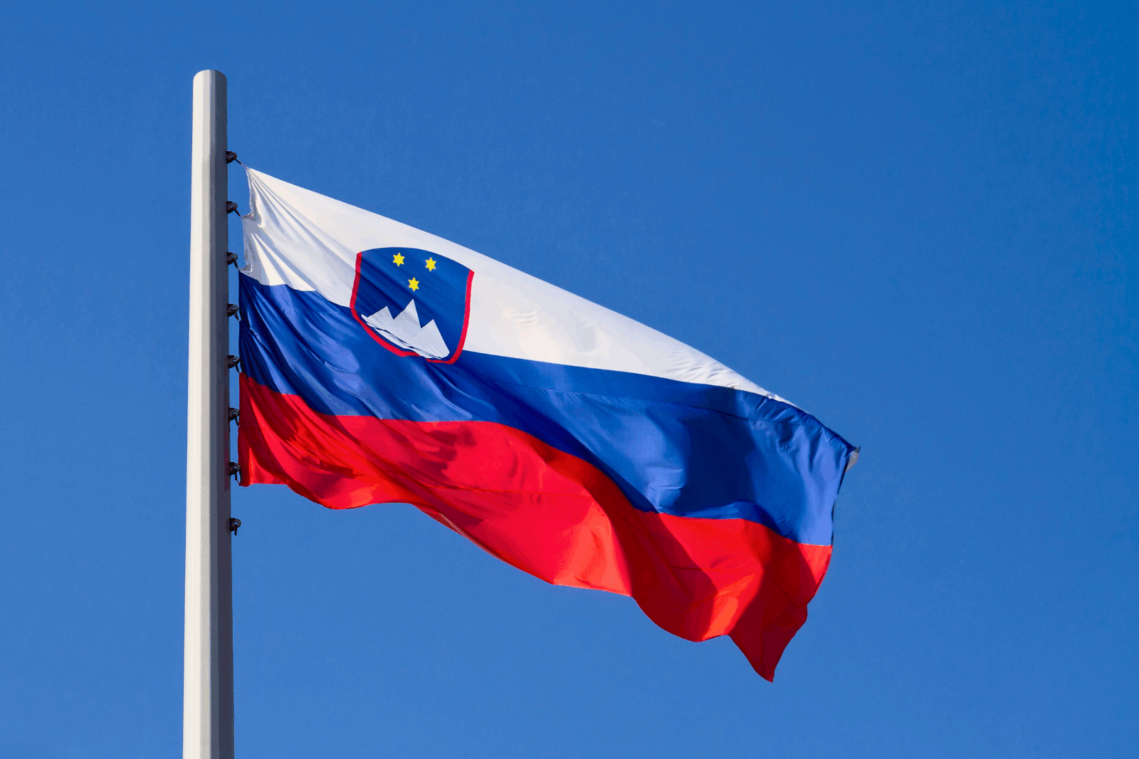Ovlašteni predstavnik Slovenija